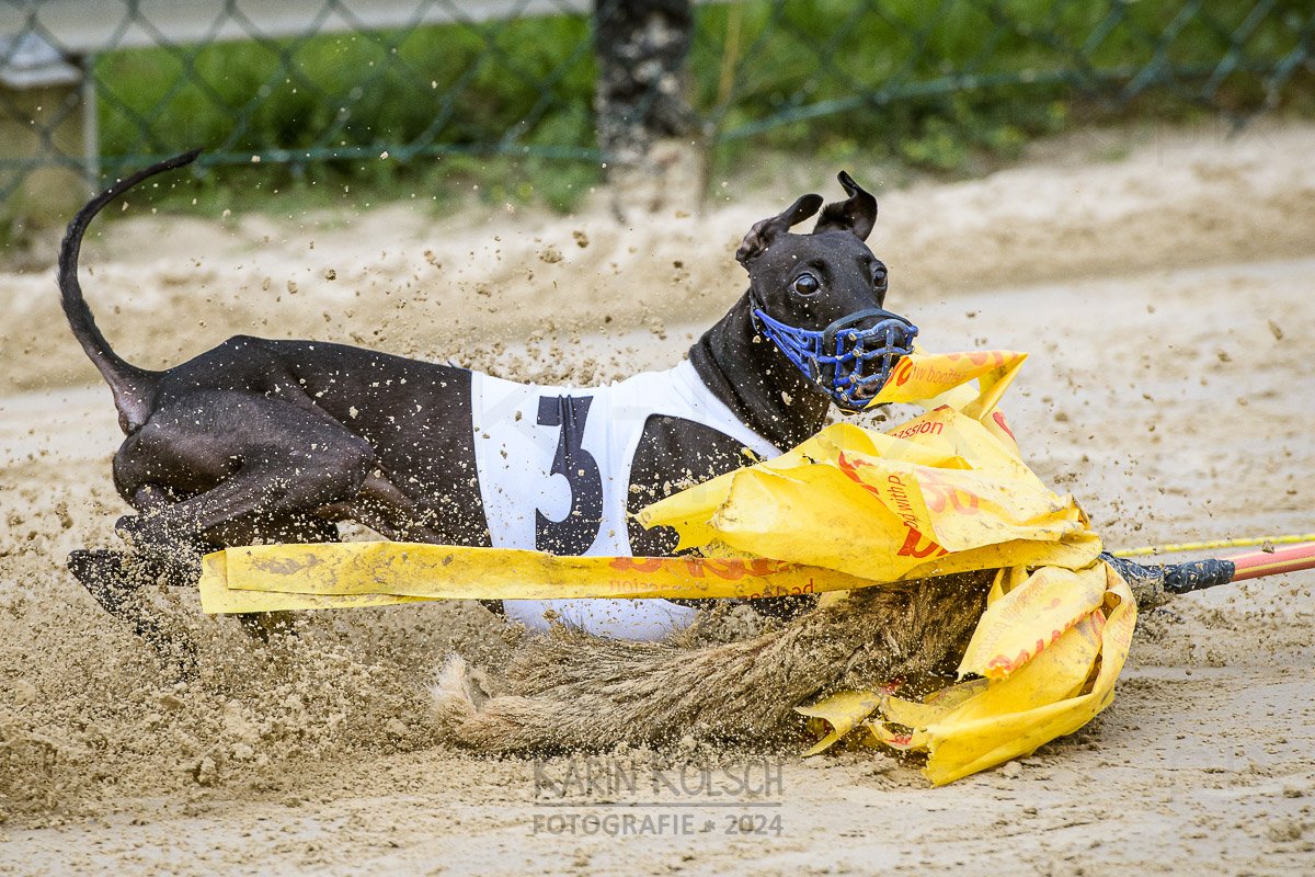 Tolle Fotos von unserem Jubiläumsrennen!